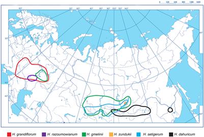 Integration of Genomic and Cytogenetic Data on Tandem DNAs for Analyzing the Genome Diversity Within the Genus Hedysarum L. (Fabaceae)